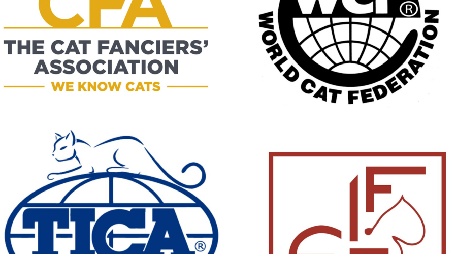 Tõuühingud ja kassiklubid